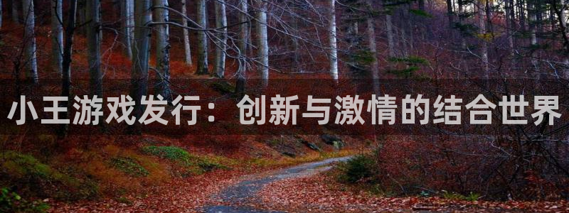 bg大游子书单：小王游戏发行：创新与激情的结合世界