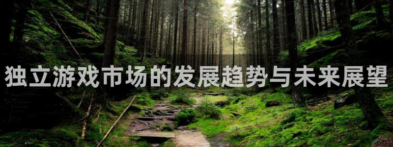 bg大游官网登录注册账号安全吗：独立游戏市场的发展趋势与未来展望