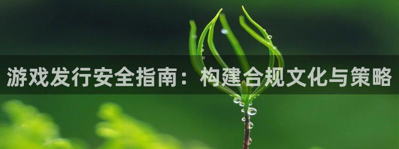 东莞bg大游信息科技有限公司：游戏发行安全指南：构建合规文化与策略
