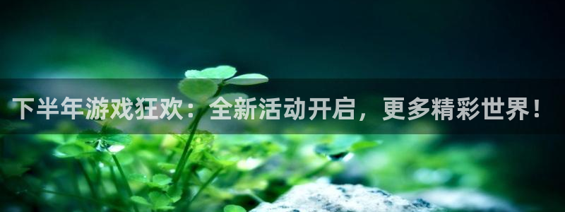 bg大游价格：下半年游戏狂欢：全新活动开启，更多精彩世界！
