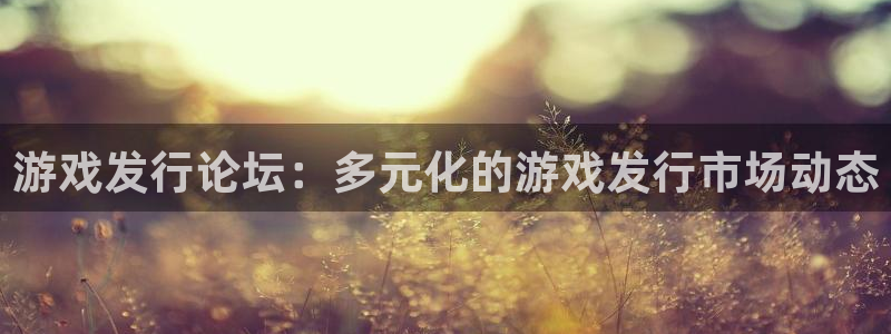 bg大游电商怎么样可靠吗：游戏发行论坛：多元化的游戏发行市场动态