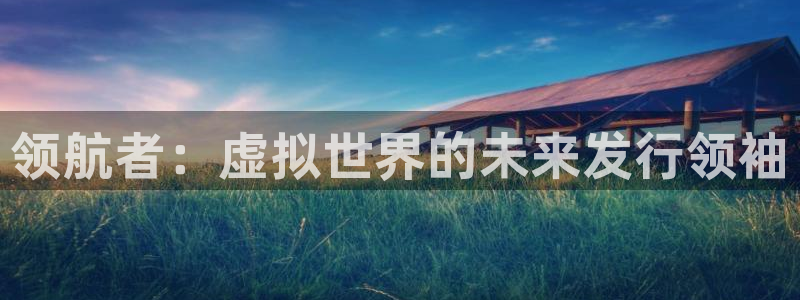 广东bg大游电商bruno：领航者：虚拟世界的未来发行领袖