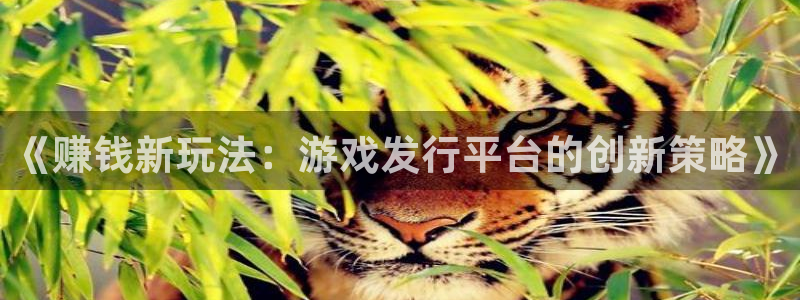 bg大游官网注册平台合法吗?：《赚钱新玩法：游戏发行平台的创新策略》