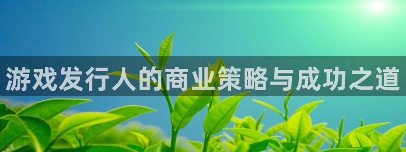 bg大游官网注册登录官网：游戏发行人的商业策略与成功之道