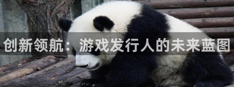 bg大游集团是什么企业：创新领航：游戏发行人的未来蓝图