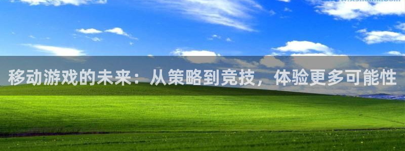 重庆bg大游子文化传播有限公司：移动游戏的未来：从策略到竞技，体验更多可能性