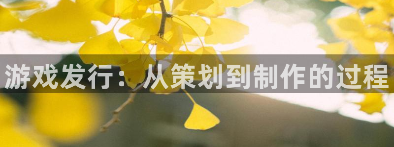 bg大游子财经丛书：游戏发行：从策划到制作的过程