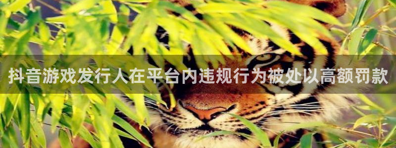 bg大游的所有小说：抖音游戏发行人在平台内违规行为被处以高额罚款