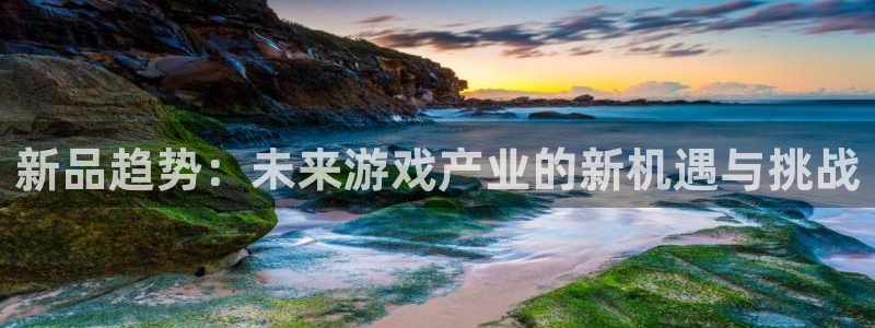 bg大游电子商务有限公司怎么样啊：新品趋势：未来游戏产业的新机遇与挑战