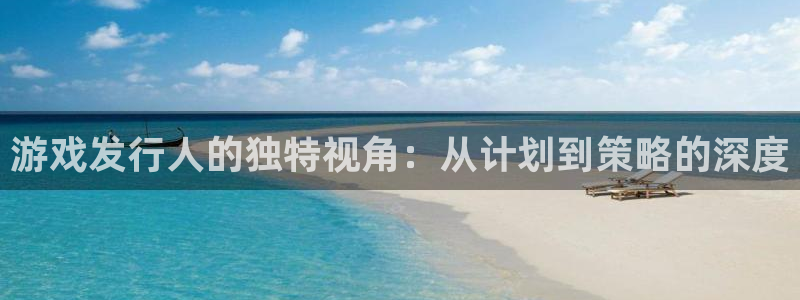 bg大游官网登录注册不了：游戏发行人的独特视角：从计划到策略的深度