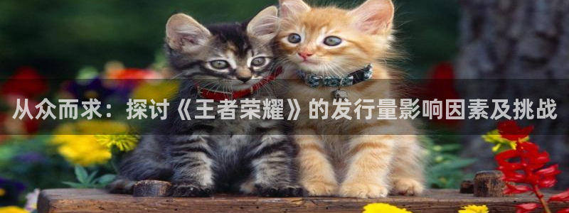 bg大游官网注册平台怎么注册账号：从众而求：探讨《王者荣耀》的发行量影响因素及挑战