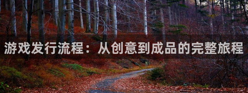 bg大游子怎么样：游戏发行流程：从创意到成品的完整旅程