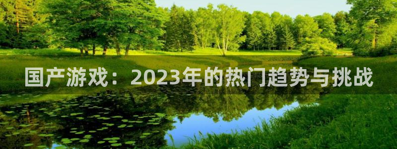 bg大游官网登录注册不了怎么办：国产游戏：2023年的热门趋势与挑战