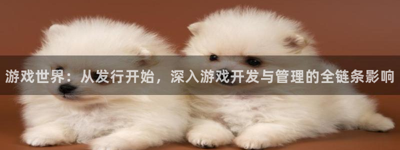 bg大游官网注册平台怎么注册不了：游戏世界：从发行开始，深入游戏开发与管理的全链条影响