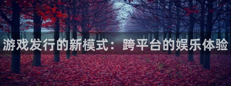 作者bg大游子：游戏发行的新模式：跨平台的娱乐体验