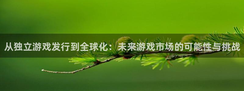 bg大游官网代理开号怎么开：从独立游戏发行到全球化：未来游戏市场的可能性与挑战