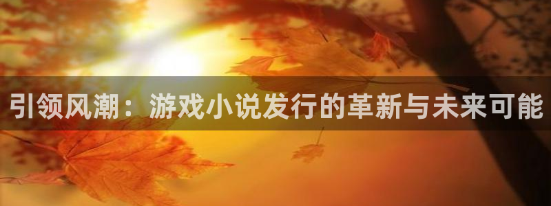 bg大游官网登录注册账号失败：引领风潮：游戏小说发行的革新与未来可能