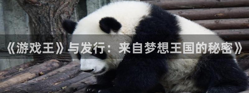 bg大游集团公司怎么样：《游戏王》与发行：来自梦想王国的秘密》