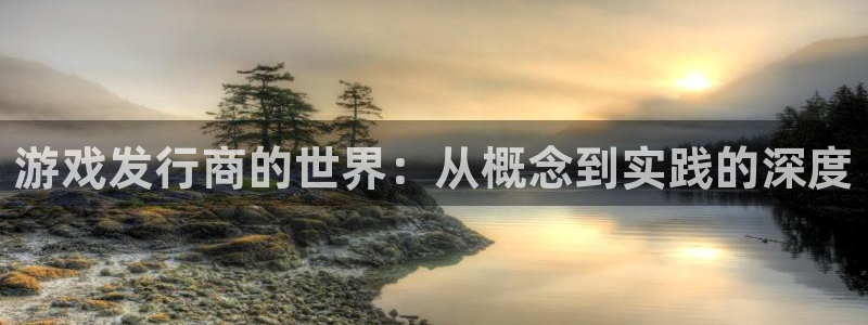 bg大游官网解绑银行卡怎么操作：游戏发行商的世界：从概念到实践的深度