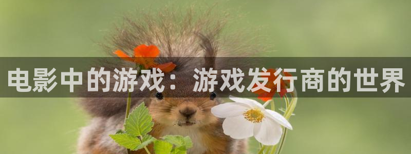 bg大游官网注册平台是什么：电影中的游戏：游戏发行商的世界