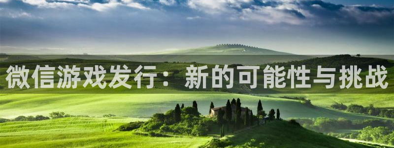 bg大游子公司怎么样