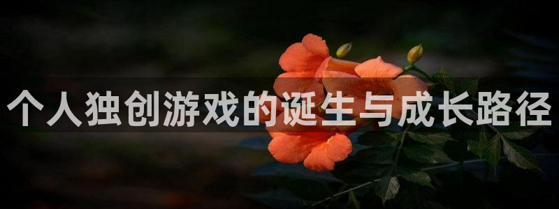 bg大游军团是哪个国家队：个人独创游戏的诞生与成长路径