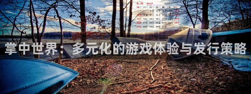 陕西bg大游子文化公司加我qq：掌中世界：多元化的游戏体验与发行策略